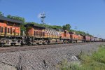 BNSF 5160 Roster shot